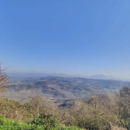 Ferienhaus Casa Bravari Rustic Istrian Stone House *