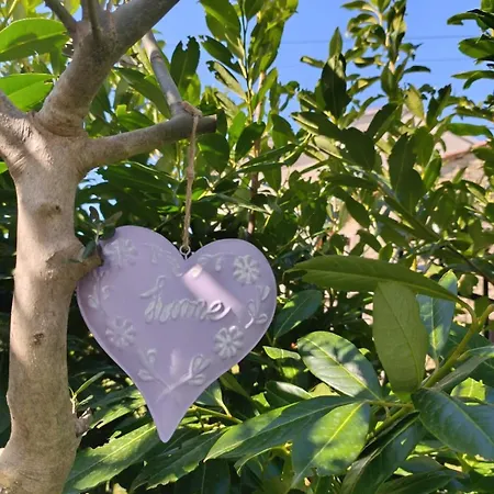 Casa Bravari Rustic Istrian Stone House Hébergement de vacances