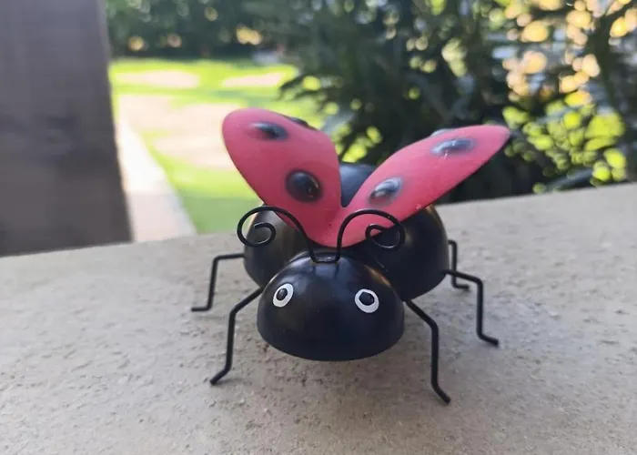 Casa Bravari Rustic Istrian Stone House Hébergement de vacances Kascerga