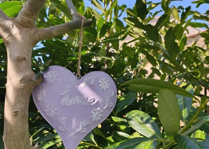 Casa Bravari Rustic Istrian Stone House Ferienhaus