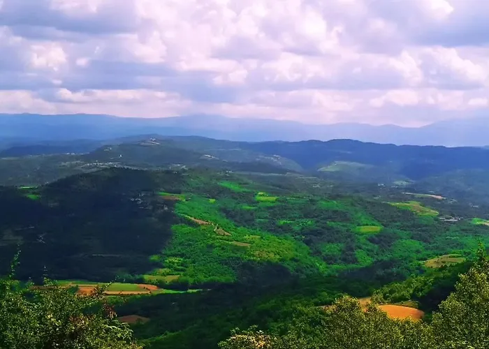 Hébergement de vacances Casa Bravari Rustic Istrian Stone House *