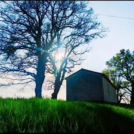 Casa vacanze Casa Bravari Rustic Istrian Stone House *