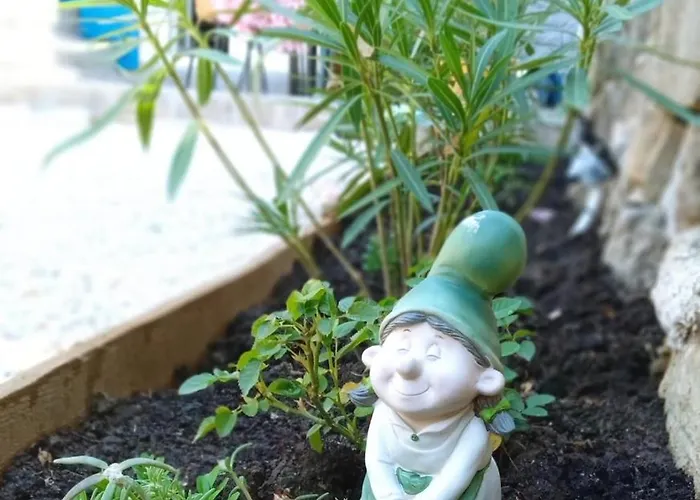 Casa Bravari Rustic Istrian Stone House Casa vacanze *