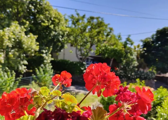 Casa Bravari Rustic Istrian Stone House Kascerga